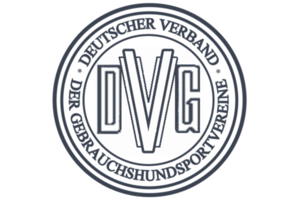 DVG Logo